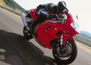 Triumph Daytona 955i